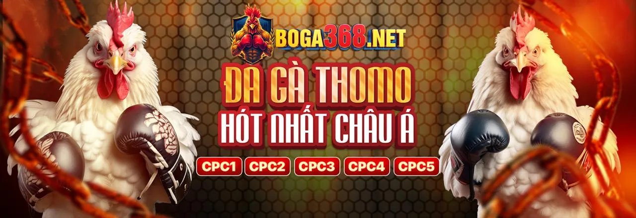 Trải nghiệm casino trực tiếp với dealer xinh đẹp tại 68wim cổng game